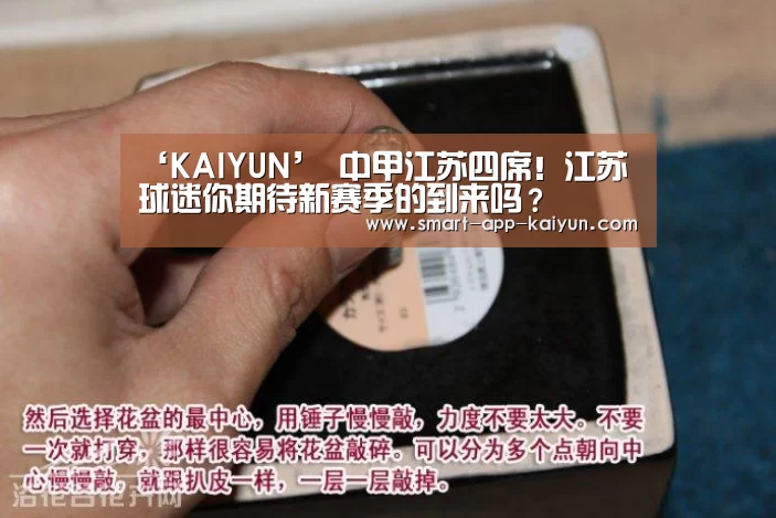 开云体育官网