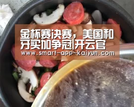 金杯赛决赛,美国和牙买加争冠|开云官网导航(图1) 开云官网导航