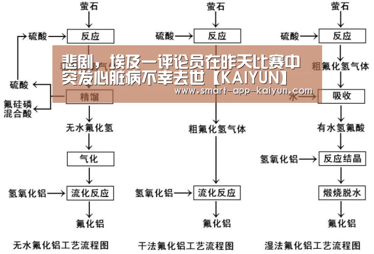 悲剧,埃及一评论员在昨天比赛中突发心脏病不幸去世【KAIYUN】(图3) 开云官网导航