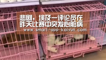 悲剧,埃及一评论员在昨天比赛中突发心脏病不幸去世【KAIYUN】(图4) 开云官网导航