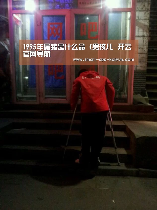 1995年属猪是什么命(男孩儿-开云官网导航(图2) 开云官网导航