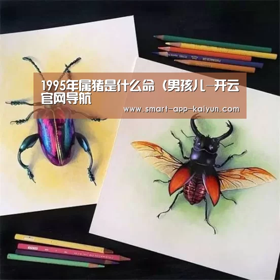 1995年属猪是什么命(男孩儿-开云官网导航(图1) 开云官网导航