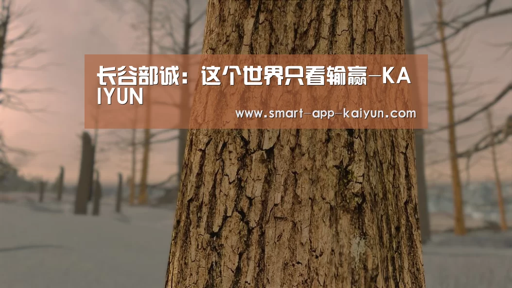 开云官网导航