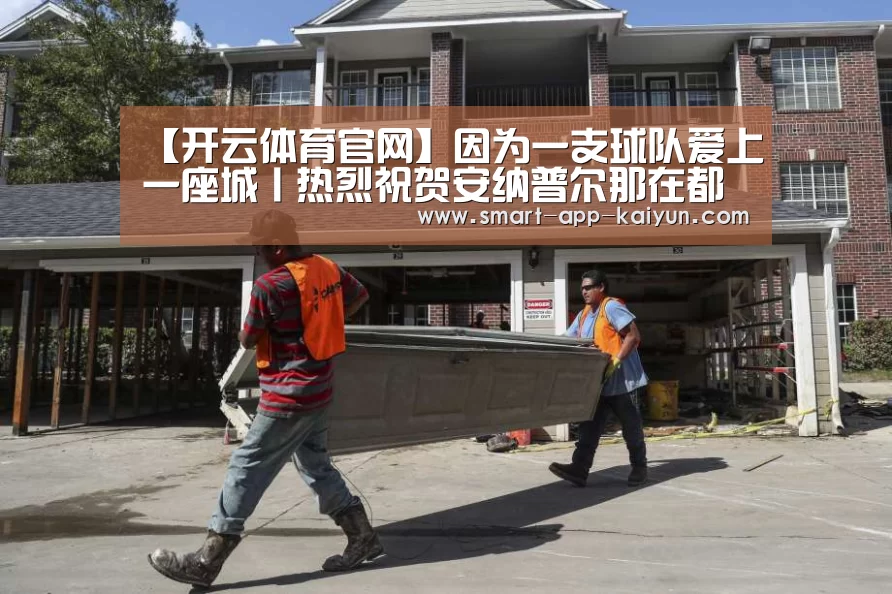 开云官网导航